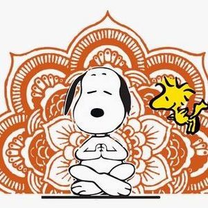 Meet your Posher, Will